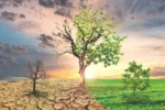An Intricate Dance of Climate and Spirit Aging